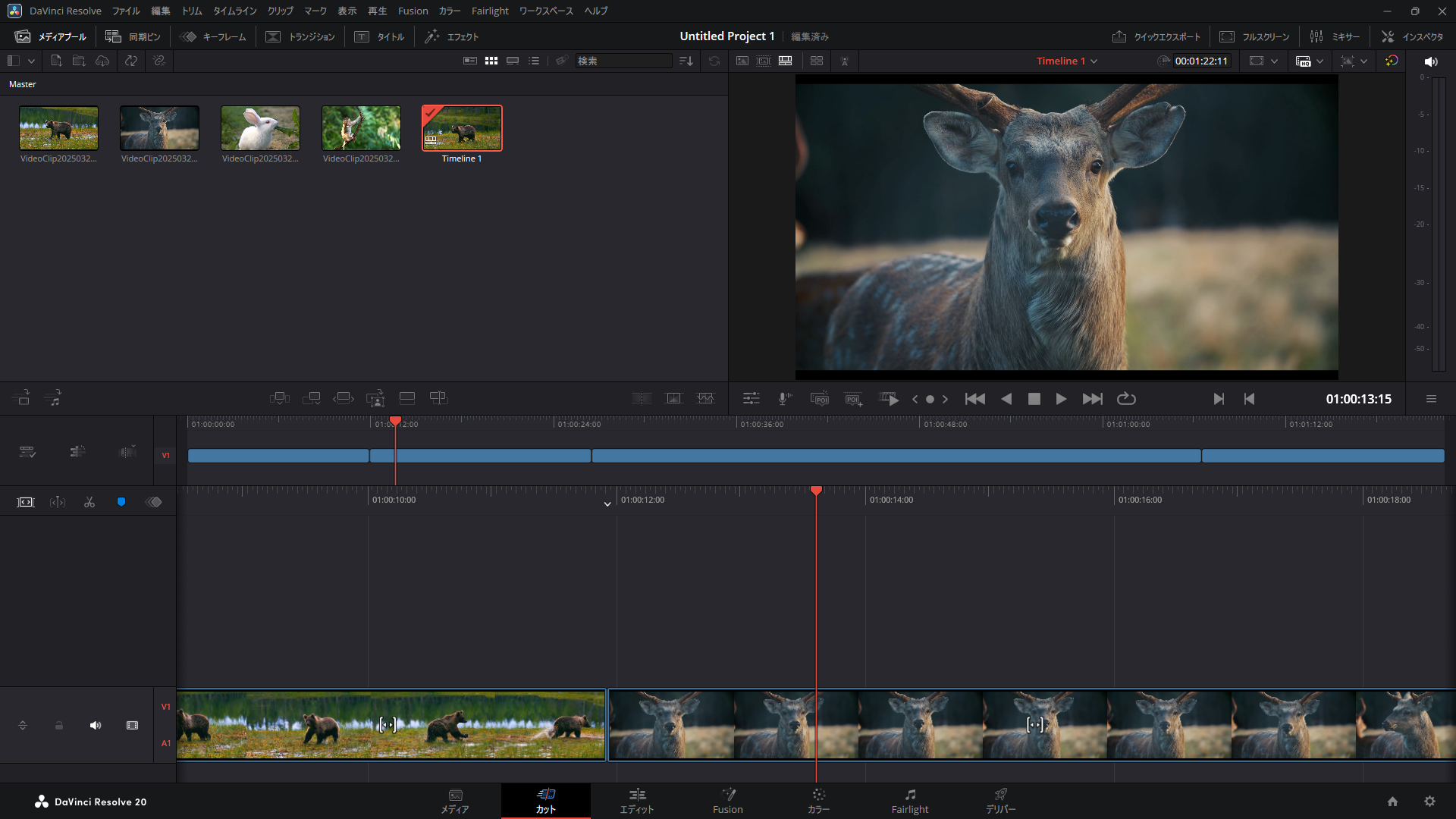 DaVinci Resolve